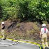 Brand Freifläche