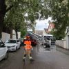 Baum auf Straße